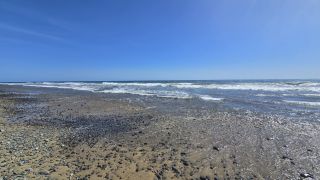 GC-Playa El Veril (Playa del Ingles) 2025-60.jpg